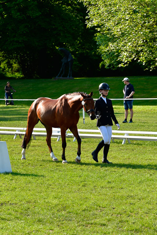 Goldene Schärpe Ponys in Hohen Luckow 1-4.6.23 | 04062023 -  Vormustern _091 