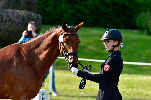 Goldene Schärpe Ponys in Hohen Luckow 1-4.6.23 | 04062023 -  Vormustern _092 
