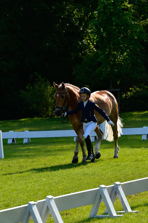 Goldene Schärpe Ponys in Hohen Luckow 1-4.6.23 | 04062023 -  Vormustern _093 