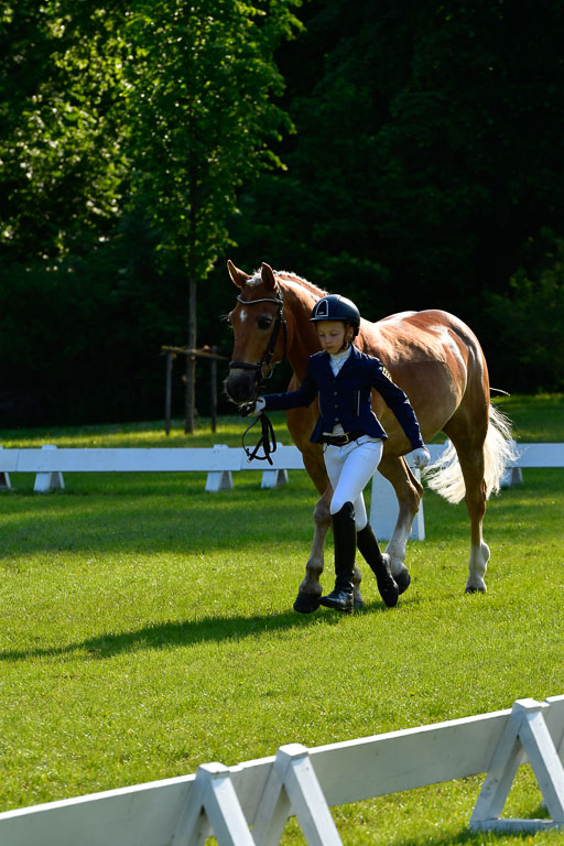 Goldene Schärpe Ponys in Hohen Luckow 1-4.6.23 | 04062023 -  Vormustern _094 