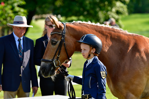 Goldene Schärpe Ponys in Hohen Luckow 1-4.6.23 | 04062023 -  Vormustern _095 