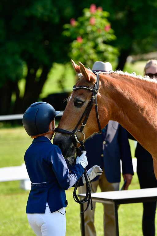 Goldene Schärpe Ponys in Hohen Luckow 1-4.6.23 | 04062023 -  Vormustern _096 