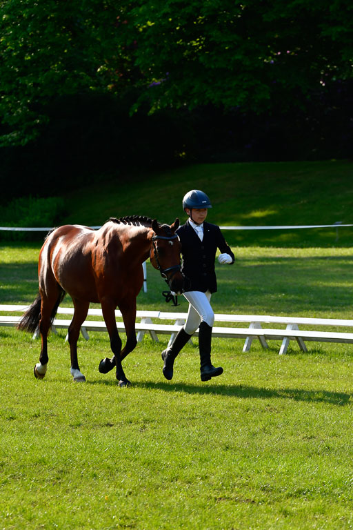 Goldene Schärpe Ponys in Hohen Luckow 1-4.6.23 | 04062023 -  Vormustern _098 