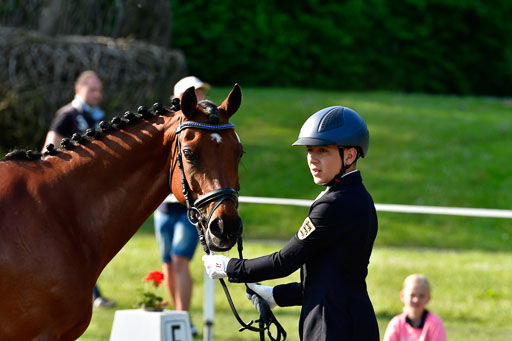 Goldene Schärpe Ponys in Hohen Luckow 1-4.6.23 | 04062023 -  Vormustern _099 
