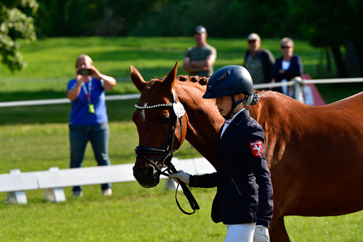 Goldene Schärpe Ponys in Hohen Luckow 1-4.6.23 | 04062023 -  Vormustern _101 