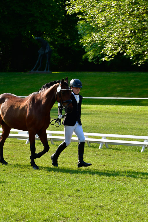 Goldene Schärpe Ponys in Hohen Luckow 1-4.6.23 | 04062023 -  Vormustern _103 