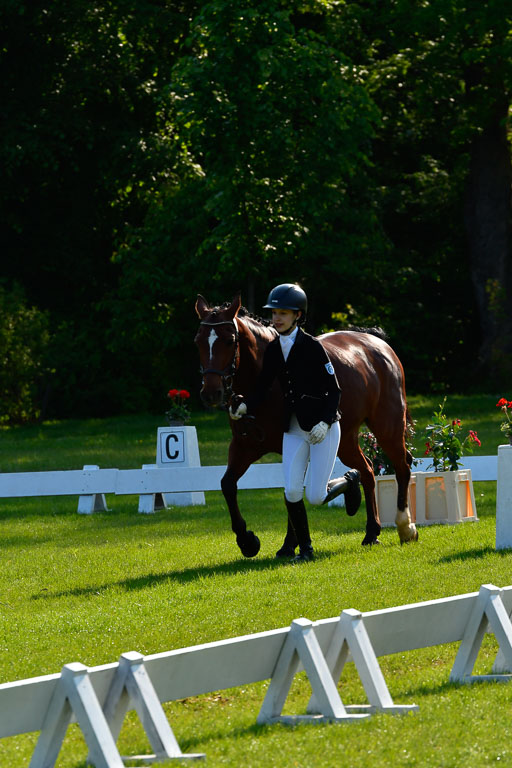 Goldene Schärpe Ponys in Hohen Luckow 1-4.6.23 | 04062023 -  Vormustern _104 