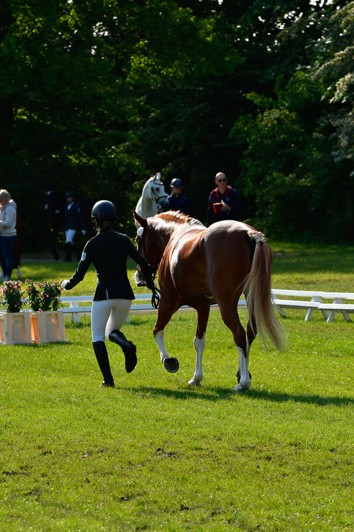 Goldene Schärpe Ponys in Hohen Luckow 1-4.6.23 | 04062023 -  Vormustern _106 