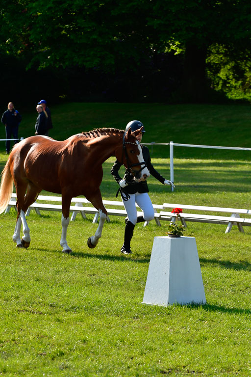 Goldene Schärpe Ponys in Hohen Luckow 1-4.6.23 | 04062023 -  Vormustern _107 
