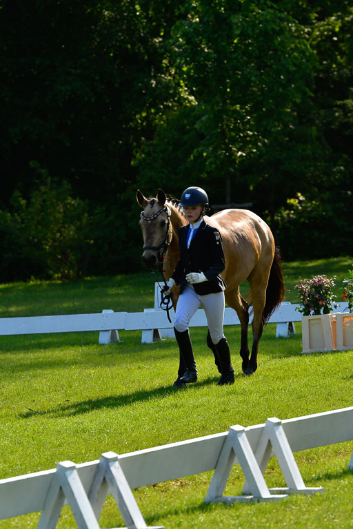 Goldene Schärpe Ponys in Hohen Luckow 1-4.6.23 | 04062023 -  Vormustern _108 