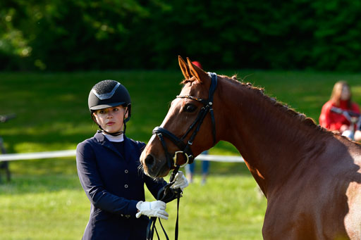 Goldene Schärpe Ponys in Hohen Luckow 1-4.6.23 | 04062023 -  Vormustern _110 