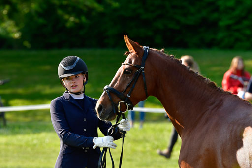 Goldene Schärpe Ponys in Hohen Luckow 1-4.6.23 | 04062023 -  Vormustern _111 