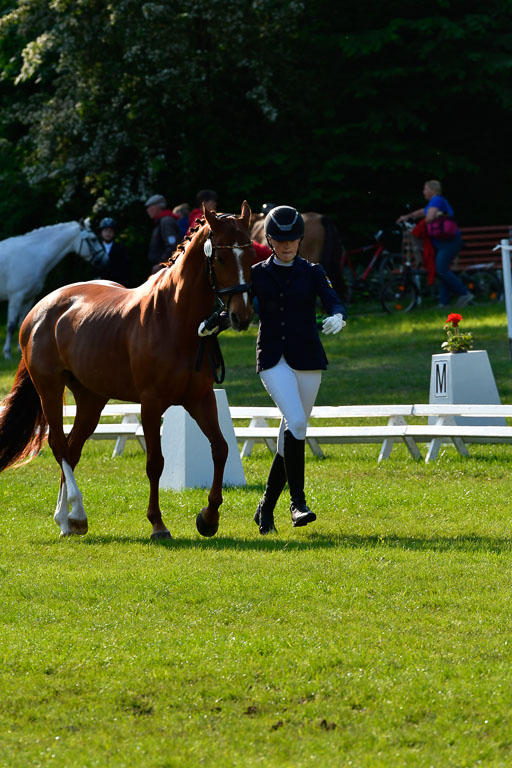 Goldene Schärpe Ponys in Hohen Luckow 1-4.6.23 | 04062023 -  Vormustern _113 
