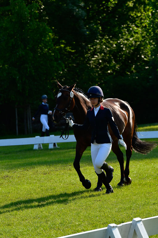 Goldene Schärpe Ponys in Hohen Luckow 1-4.6.23 | 04062023 -  Vormustern _114 