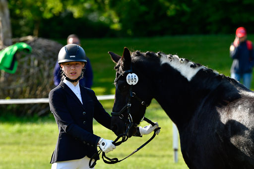 Goldene Schärpe Ponys in Hohen Luckow 1-4.6.23 | 04062023 -  Vormustern _116 