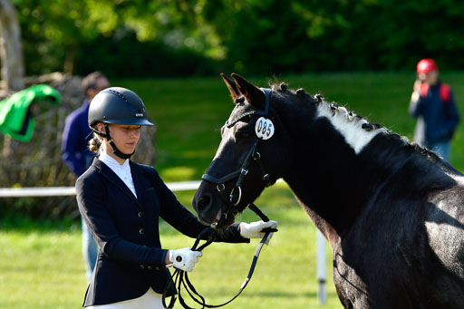 Goldene Schärpe Ponys in Hohen Luckow 1-4.6.23 | 04062023 -  Vormustern _117 