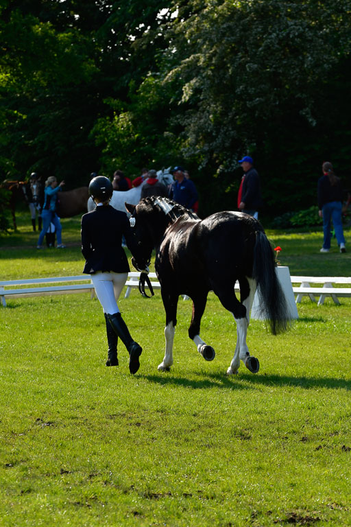 Goldene Schärpe Ponys in Hohen Luckow 1-4.6.23 | 04062023 -  Vormustern _118 