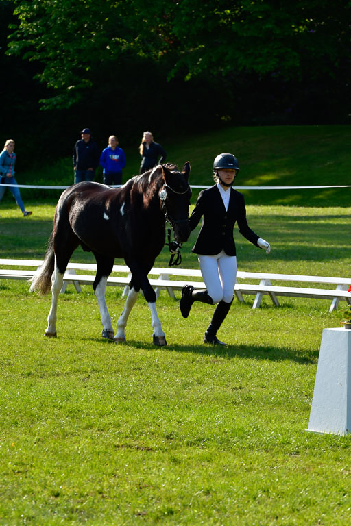 Goldene Schärpe Ponys in Hohen Luckow 1-4.6.23 | 04062023 -  Vormustern _121 