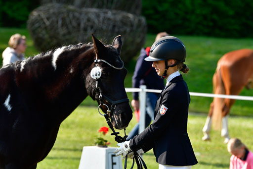 Goldene Schärpe Ponys in Hohen Luckow 1-4.6.23 | 04062023 -  Vormustern _122 