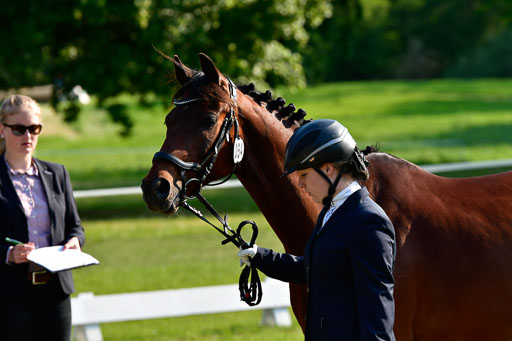 Goldene Schärpe Ponys in Hohen Luckow 1-4.6.23 | 04062023 -  Vormustern _124 