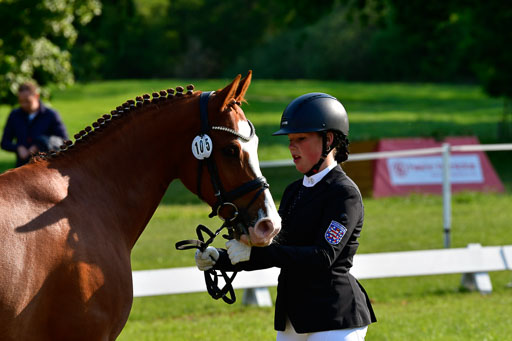 Goldene Schärpe Ponys in Hohen Luckow 1-4.6.23 | 04062023 -  Vormustern _128 