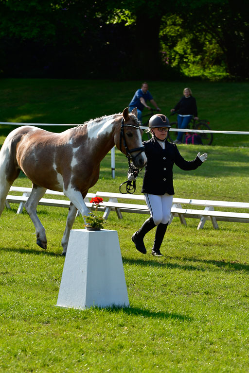 Goldene Schärpe Ponys in Hohen Luckow 1-4.6.23 | 04062023 -  Vormustern _129 