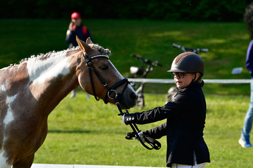 Goldene Schärpe Ponys in Hohen Luckow 1-4.6.23 | 04062023 -  Vormustern _130 