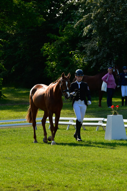 Goldene Schärpe Ponys in Hohen Luckow 1-4.6.23 | 04062023 -  Vormustern _134 
