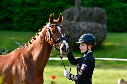 Goldene Schärpe Ponys in Hohen Luckow 1-4.6.23 | 04062023 -  Vormustern _138 