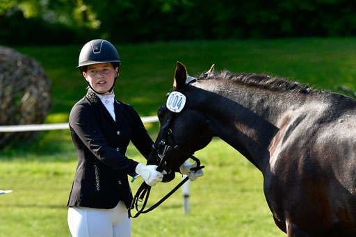 Goldene Schärpe Ponys in Hohen Luckow 1-4.6.23 | 04062023 -  Vormustern _139 