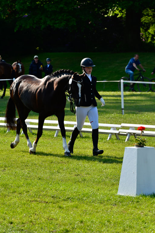 Goldene Schärpe Ponys in Hohen Luckow 1-4.6.23 | 04062023 -  Vormustern _141 