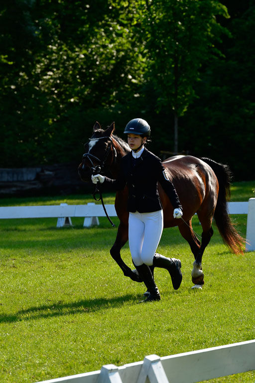 Goldene Schärpe Ponys in Hohen Luckow 1-4.6.23 | 04062023 -  Vormustern _142 