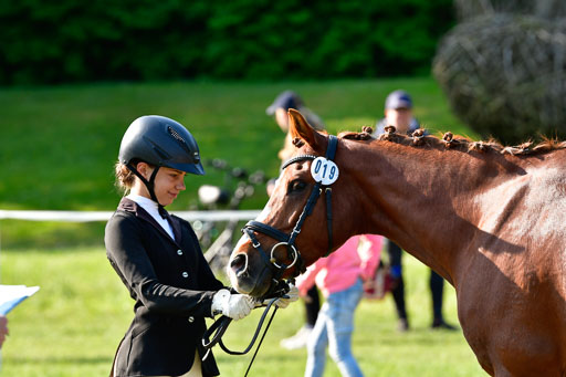 Goldene Schärpe Ponys in Hohen Luckow 1-4.6.23 | 04062023 -  Vormustern _143 
