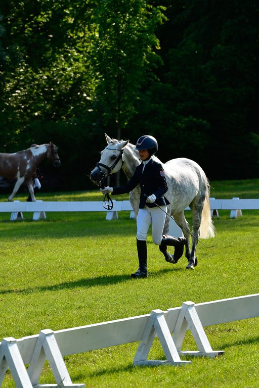Goldene Schärpe Ponys in Hohen Luckow 1-4.6.23 | 04062023 -  Vormustern _146 