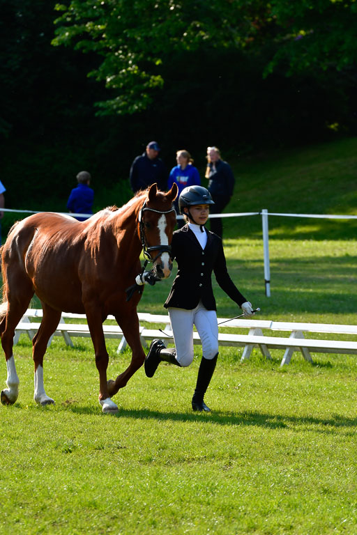 Goldene Schärpe Ponys in Hohen Luckow 1-4.6.23 | 04062023 -  Vormustern _147 