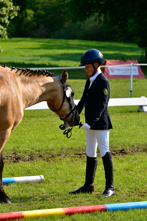 Goldene Schärpe Ponys in Hohen Luckow 1-4.6.23 | 04062023 -  Vormustern _150 