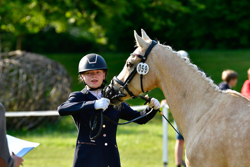 Goldene Schärpe PFerde in Hohen Luckow 1-4.6.23 | 04062023 -  Vormustern _151 
