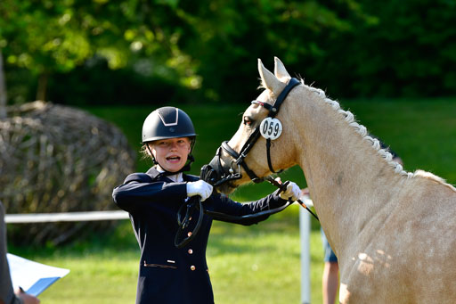 Goldene Schärpe Ponys in Hohen Luckow 1-4.6.23 | 04062023 -  Vormustern _152 