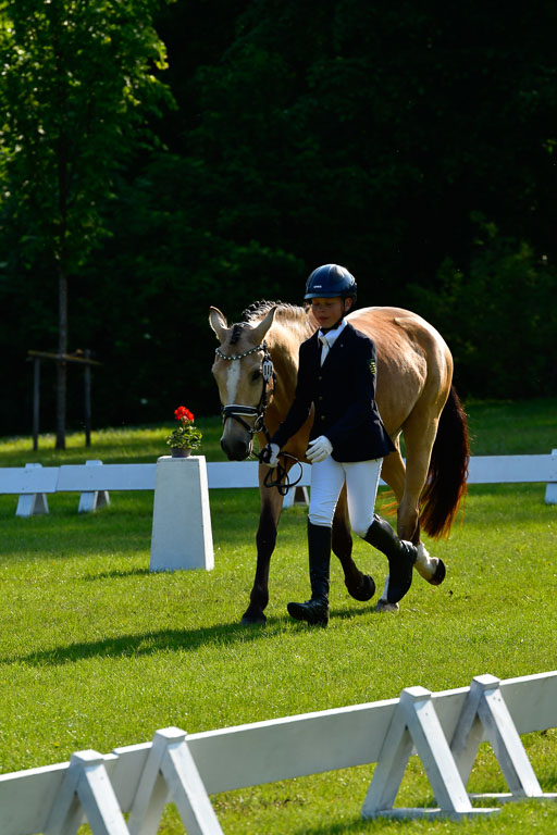 Goldene Schärpe Ponys in Hohen Luckow 1-4.6.23 | 04062023 -  Vormustern _153 