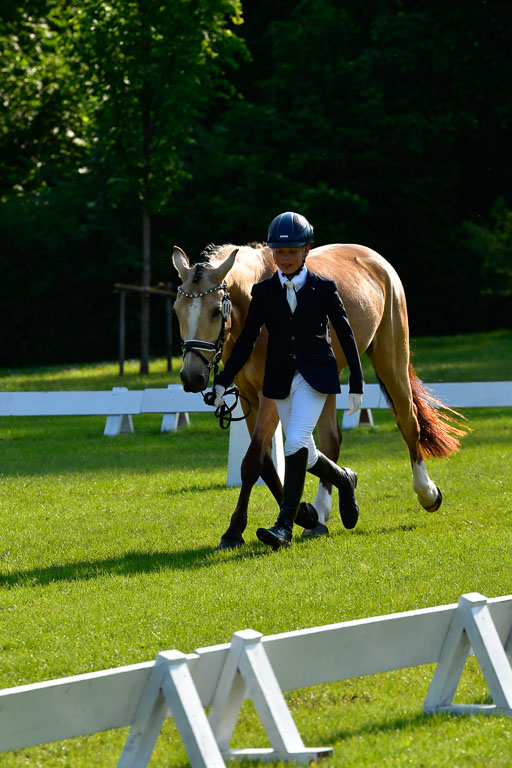 Goldene Schärpe Ponys in Hohen Luckow 1-4.6.23 | 04062023 -  Vormustern _154 