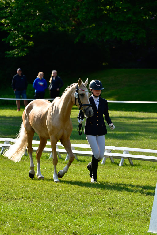 Goldene Schärpe Ponys in Hohen Luckow 1-4.6.23 | 04062023 -  Vormustern _155 