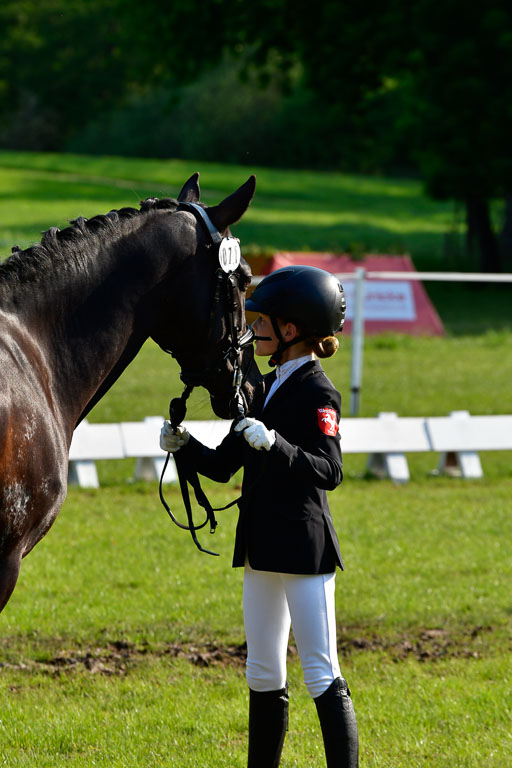 Goldene Schärpe Ponys in Hohen Luckow 1-4.6.23 | 04062023 -  Vormustern _157 