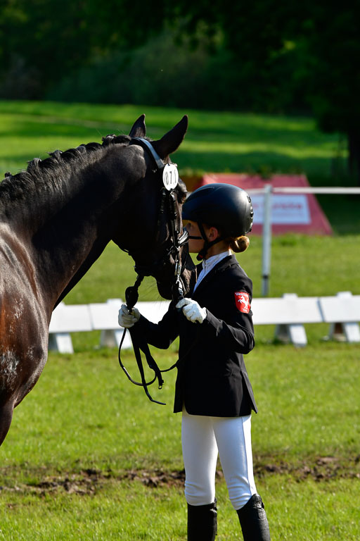 Goldene Schärpe Ponys in Hohen Luckow 1-4.6.23 | 04062023 -  Vormustern _158 