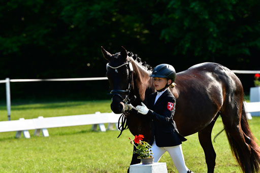 Goldene Schärpe Ponys in Hohen Luckow 1-4.6.23 | 04062023 -  Vormustern _161 