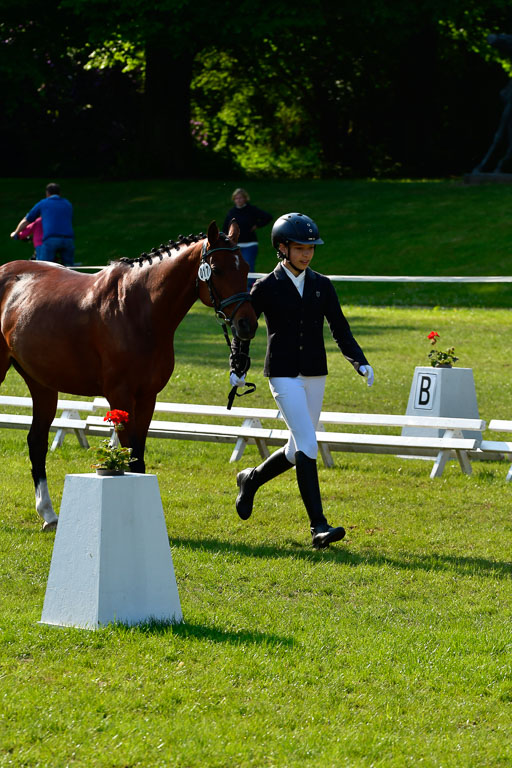 Goldene Schärpe Ponys in Hohen Luckow 1-4.6.23 | 04062023 -  Vormustern _162 