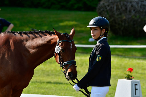 Goldene Schärpe Ponys in Hohen Luckow 1-4.6.23 | 04062023 -  Vormustern _163 