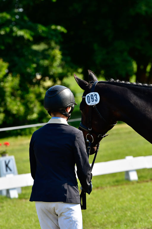 Goldene Schärpe Ponys in Hohen Luckow 1-4.6.23 | 04062023 -  Vormustern _167 
