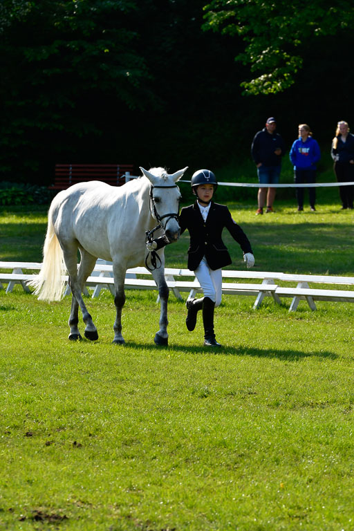 Goldene Schärpe Ponys in Hohen Luckow 1-4.6.23 | 04062023 -  Vormustern _169 
