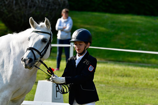 Goldene Schärpe Ponys in Hohen Luckow 1-4.6.23 | 04062023 -  Vormustern _172 