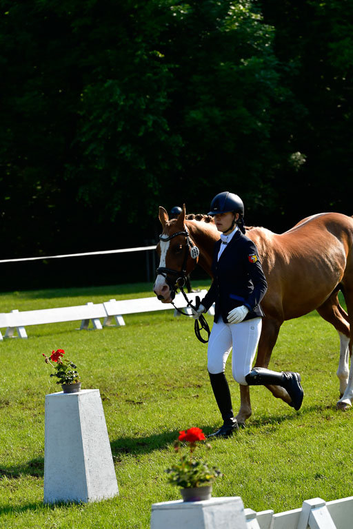 Goldene Schärpe Ponys in Hohen Luckow 1-4.6.23 | 04062023 -  Vormustern _173 